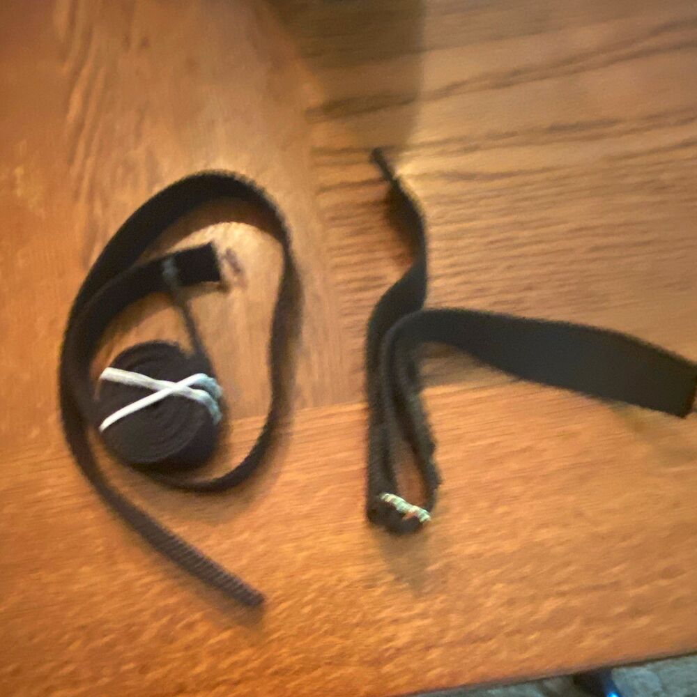 Nylon Webbing Strap- Black dog leash with Strap & Clip, Remnant, various Length